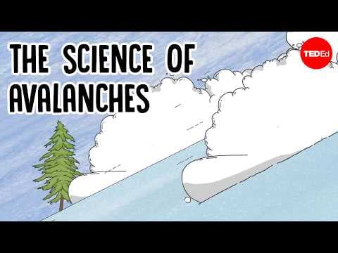 What causes avalanches, and can you survive them? - Simon Trautman
