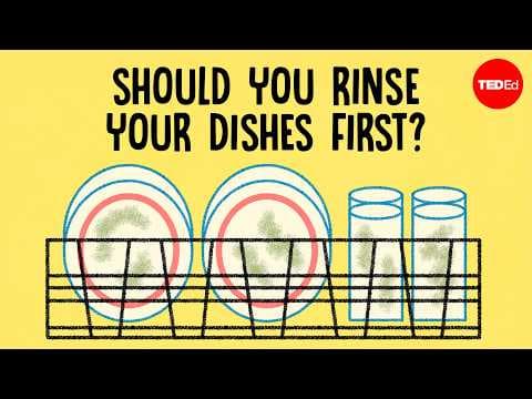 Should you rinse your dishes before placing them in the dishwasher? - Rachel Yang
